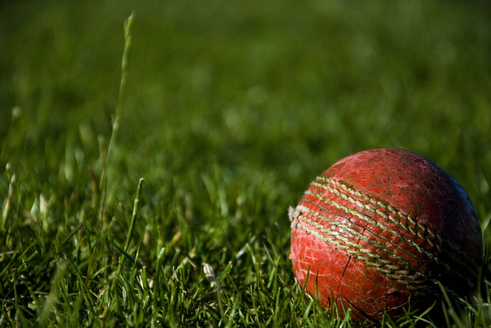 A worn red cricket ball resting on green grass